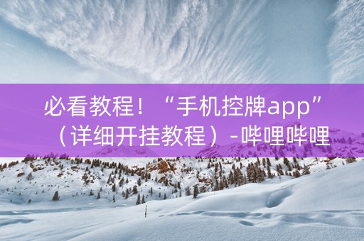 必看教程！“手机控牌app”（详细开挂教程）-哔哩哔哩