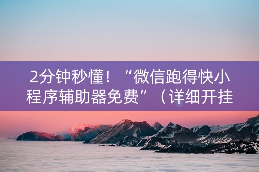 2分钟秒懂！“微信跑得快小程序辅助器免费”（详细开挂教程）-哔哩哔哩