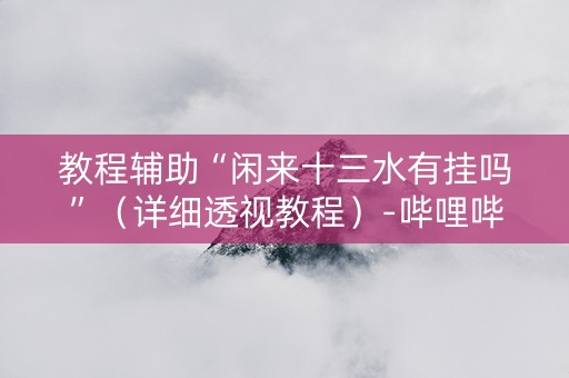 教程辅助“闲来十三水有挂吗”（详细透视教程）-哔哩哔哩