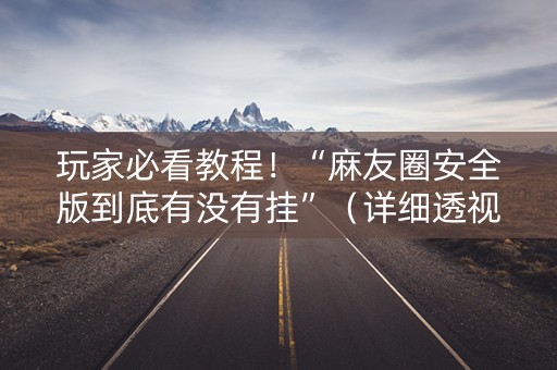 玩家必看教程！“麻友圈安全版到底有没有挂”（详细透视教程）-哔哩哔哩
