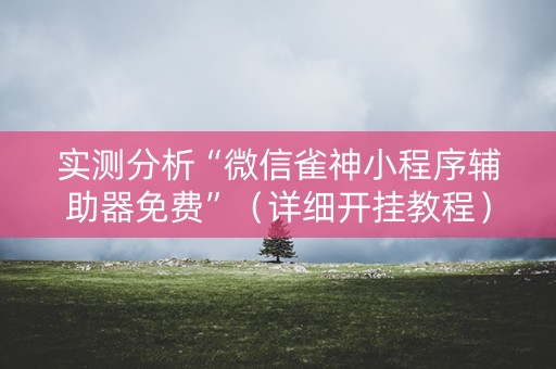 实测分析“微信雀神小程序辅助器免费”（详细开挂教程）-哔哩哔哩