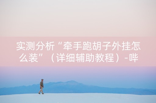 实测分析“牵手跑胡子外挂怎么装”（详细辅助教程）-哔哩哔哩