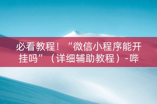 必看教程！“微信小程序能开挂吗”（详细辅助教程）-哔哩哔哩