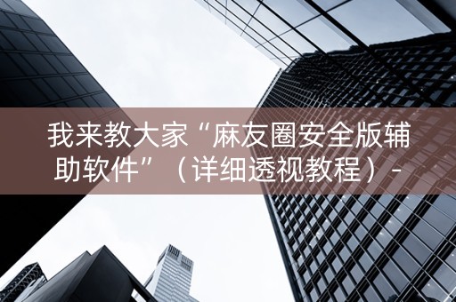 我来教大家“麻友圈安全版辅助软件”（详细透视教程）-哔哩哔哩