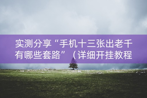 实测分享“手机十三张出老千有哪些套路”（详细开挂教程）-哔哩哔哩