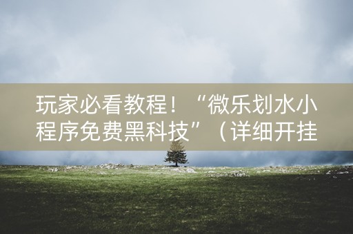 玩家必看教程！“微乐划水小程序免费黑科技”（详细开挂教程）-哔哩哔哩
