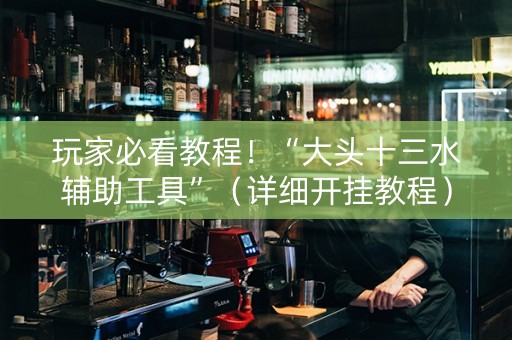 玩家必看教程！“大头十三水辅助工具”（详细开挂教程）-哔哩哔哩