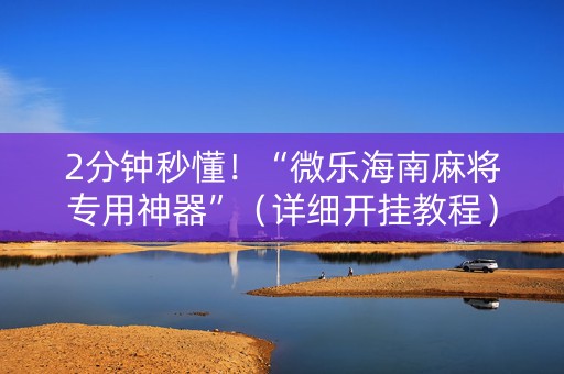 2分钟秒懂！“微乐海南麻将专用神器”（详细开挂教程）-哔哩哔哩