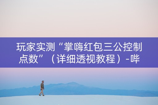 玩家实测“掌嗨红包三公控制点数”（详细透视教程）-哔哩哔哩