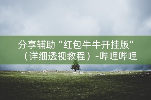 分享辅助“红包牛牛开挂版”（详细透视教程）-哔哩哔哩