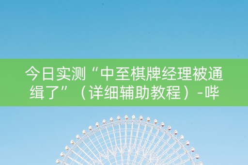 今日实测“中至棋牌经理被通缉了”（详细辅助教程）-哔哩哔哩
