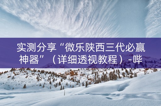 实测分享“微乐陕西三代必赢神器”（详细透视教程）-哔哩哔哩