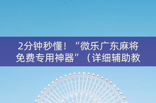 2分钟秒懂！“微乐广东麻将免费专用神器”（详细辅助教程）-哔哩哔哩