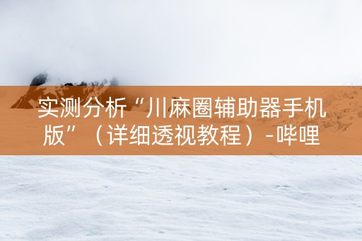 实测分析“川麻圈辅助器手机版”（详细透视教程）-哔哩哔哩