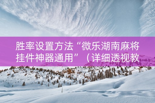 胜率设置方法“微乐湖南麻将挂件神器通用”（详细透视教程）-哔哩哔哩