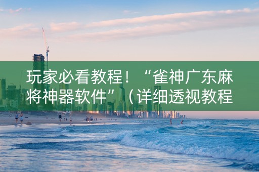 玩家必看教程！“雀神广东麻将神器软件”（详细透视教程）-哔哩哔哩