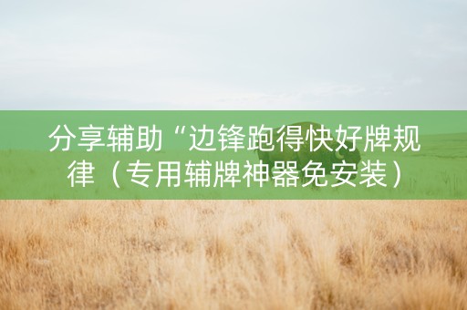 分享辅助“边锋跑得快好牌规律（专用辅牌神器免安装）