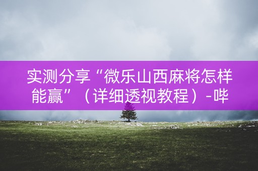实测分享“微乐山西麻将怎样能赢”（详细透视教程）-哔哩哔哩