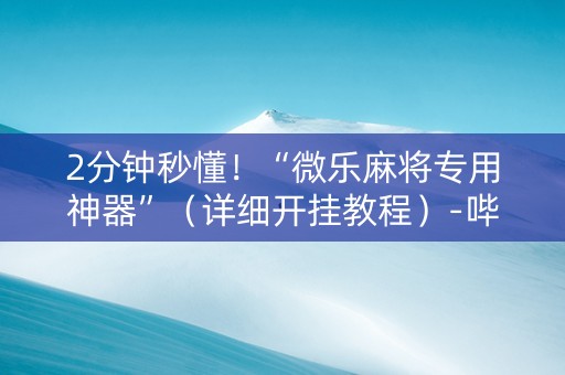 2分钟秒懂！“微乐麻将专用神器”（详细开挂教程）-哔哩哔哩