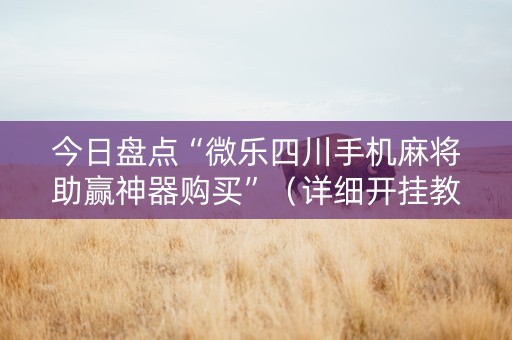 今日盘点“微乐四川手机麻将助赢神器购买”（详细开挂教程）-哔哩哔哩