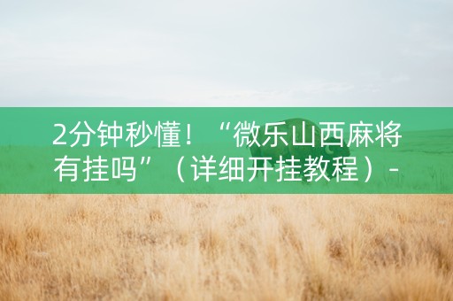 2分钟秒懂！“微乐山西麻将有挂吗”（详细开挂教程）-哔哩哔哩