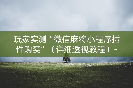 玩家实测“微信麻将小程序插件购买”（详细透视教程）-哔哩哔哩