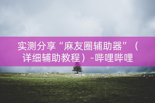 实测分享“麻友圈辅助器”（详细辅助教程）-哔哩哔哩