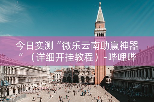 今日实测“微乐云南助赢神器”（详细开挂教程）-哔哩哔哩