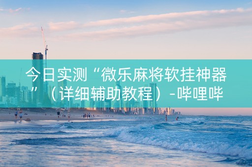 今日实测“微乐麻将软挂神器”（详细辅助教程）-哔哩哔哩