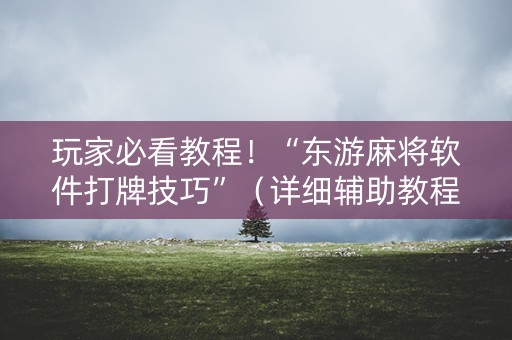 玩家必看教程！“东游麻将软件打牌技巧”（详细辅助教程）-哔哩哔哩