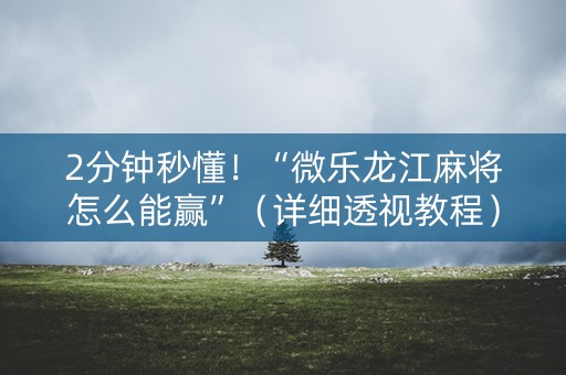 2分钟秒懂！“微乐龙江麻将怎么能赢”（详细透视教程）-哔哩哔哩