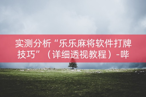 实测分析“乐乐麻将软件打牌技巧”（详细透视教程）-哔哩哔哩