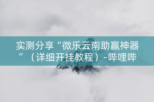 实测分享“微乐云南助赢神器”（详细开挂教程）-哔哩哔哩