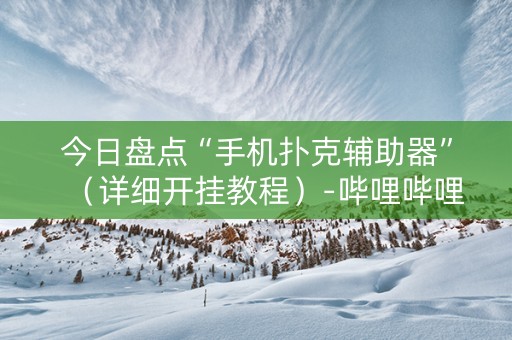 今日盘点“手机扑克辅助器”（详细开挂教程）-哔哩哔哩