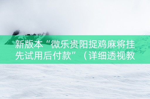 新版本“微乐贵阳捉鸡麻将挂先试用后付款”（详细透视教程）-哔哩哔哩
