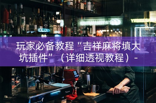 玩家必备教程“吉祥麻将填大坑插件”（详细透视教程）-哔哩哔哩