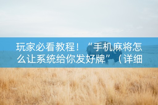 玩家必看教程！“手机麻将怎么让系统给你发好牌”（详细透视教程）-哔哩哔哩