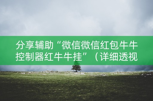 分享辅助“微信微信红包牛牛控制器红牛牛挂”（详细透视教程）-哔哩哔哩