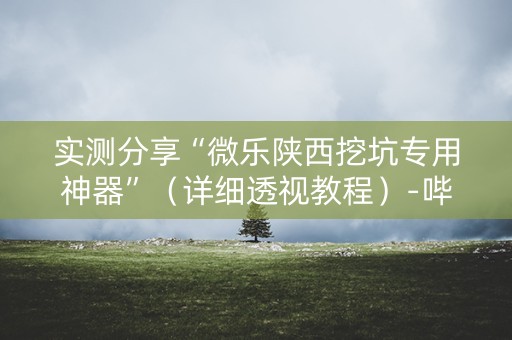 实测分享“微乐陕西挖坑专用神器”（详细透视教程）-哔哩哔哩