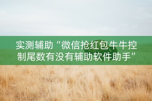 实测辅助“微信抢红包牛牛控制尾数有没有辅助软件助手”（详细透视教程）-哔哩哔哩