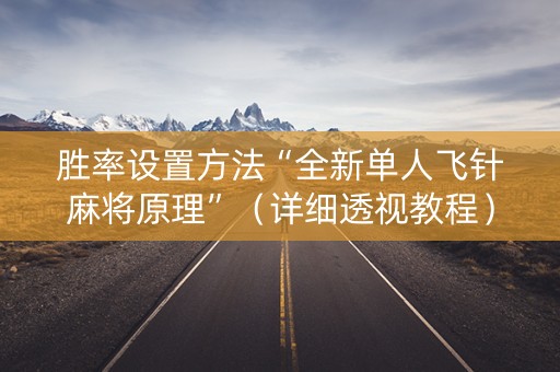 胜率设置方法“全新单人飞针麻将原理”（详细透视教程）-哔哩哔哩