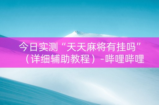 今日实测“天天麻将有挂吗”（详细辅助教程）-哔哩哔哩