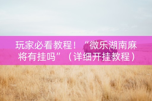玩家必看教程！“微乐湖南麻将有挂吗”（详细开挂教程）-哔哩哔哩