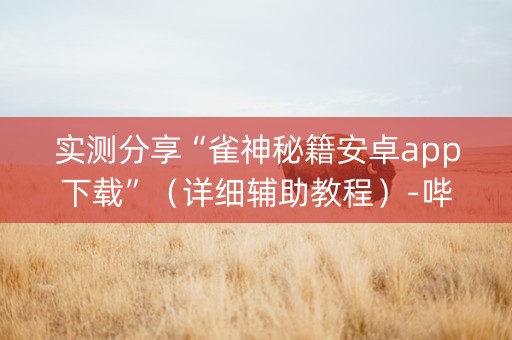 实测分享“雀神秘籍安卓app下载”（详细辅助教程）-哔哩哔哩