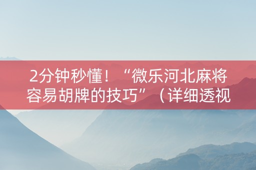 2分钟秒懂！“微乐河北麻将容易胡牌的技巧”（详细透视教程）-哔哩哔哩