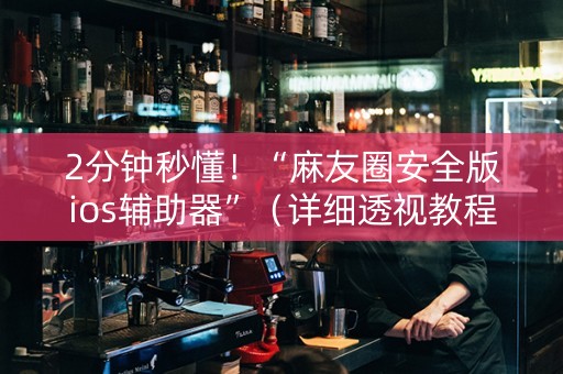 2分钟秒懂！“麻友圈安全版ios辅助器”（详细透视教程）-哔哩哔哩