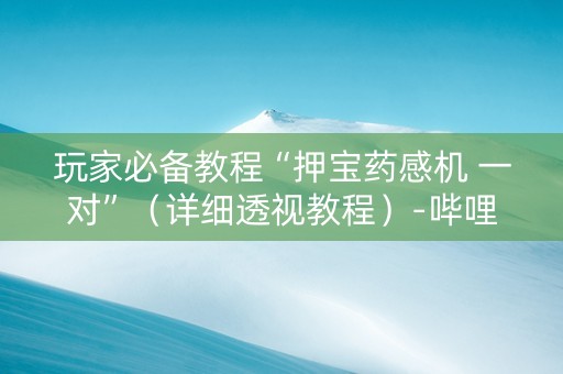 玩家必备教程“押宝药感机 一对”（详细透视教程）-哔哩哔哩
