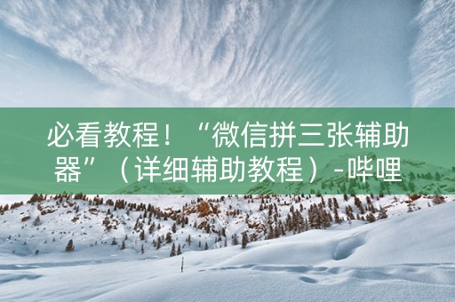 必看教程！“微信拼三张辅助器”（详细辅助教程）-哔哩哔哩