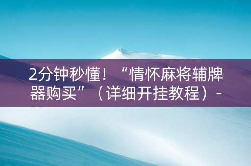 2分钟秒懂！“情怀麻将辅牌器购买”（详细开挂教程）-哔哩哔哩