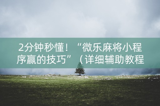 2分钟秒懂！“微乐麻将小程序赢的技巧”（详细辅助教程）-哔哩哔哩